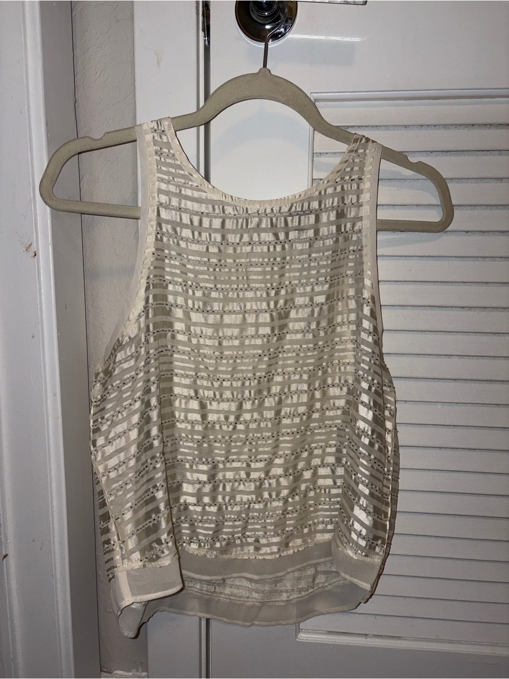 American Eagle Outfitters Cream Striped Gently Beaded Satin Like Sheer Tank